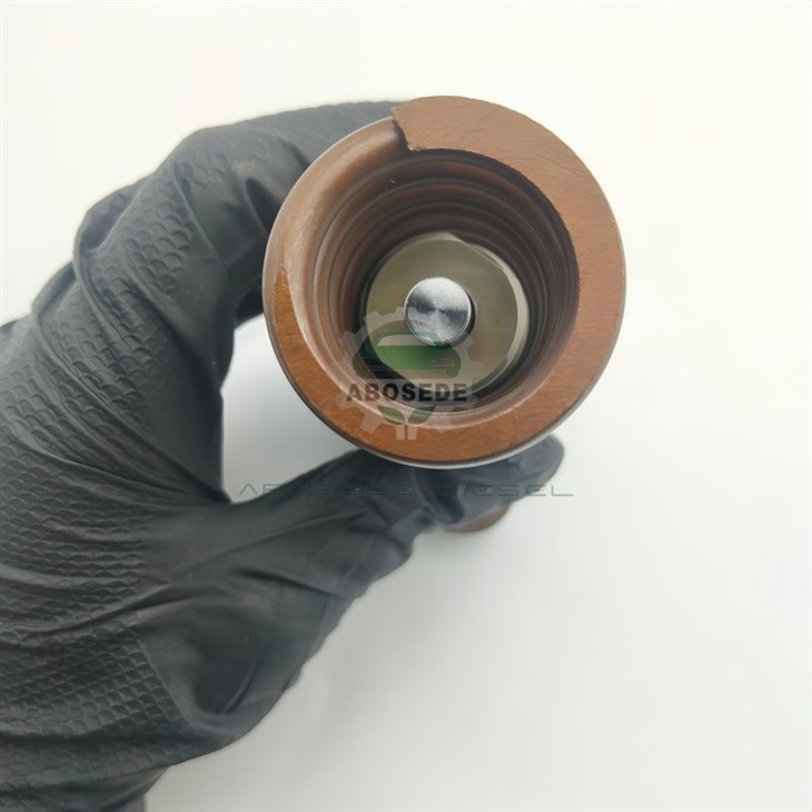 Dongfeng Cummins Pump Plunger P4306945 – Engineering The Core Of Fuel Compression Dynamics suppliers